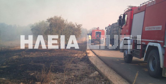 Λάλας: Φωτιά σε πευκοδάσος στη Νεμούτα